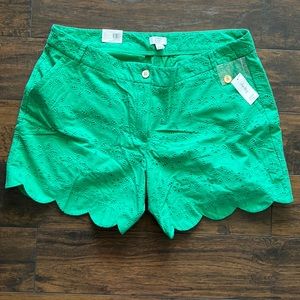 NWT Crown & Ivy Curvy Green Pattern Shelby Shorts Size 20W with 7” inseam.